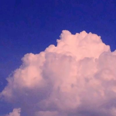小鸡模拟器vr破解版下载